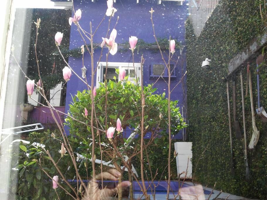 Morada Das Flores Porto Alegre Exterior foto